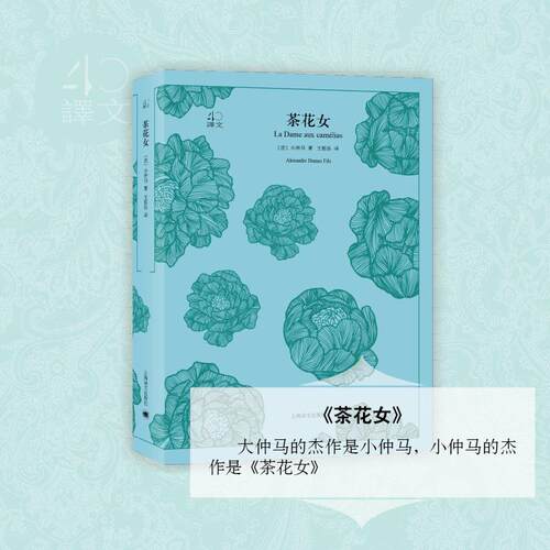 新华书店正版 外国文学名著读物 文轩网