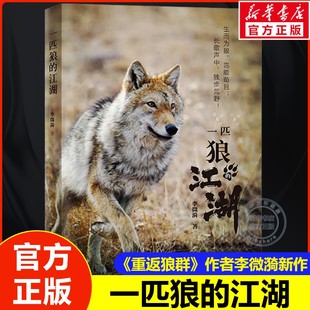 【新华文轩】一匹狼的江湖 李微漪 儿童文学动物小说8-12岁中小学寒暑假必读课外书 重返狼群作者新作 图文动物生态人性之书 正版