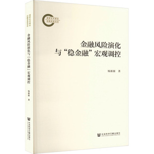 金融风险演化与