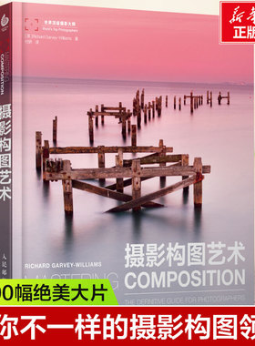 摄影构图艺术 摄影构图与色彩设计基础教程近200幅绝美摄影名作剖析数码单反摄影构图技法教程书籍从入门到精通新手学技巧书