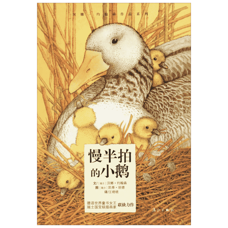 慢半拍的小鹅 无王晓晓译者 少儿儿童文学书 漓江出版社 儿童6-12周岁小学生课外阅读经典书目幼儿园小中大班绘本