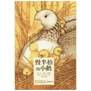 慢半拍的小鹅 无王晓晓译者 少儿儿童文学书 漓江出版社 儿童6-12周岁小学生课外阅读经典书目幼儿园小中大班绘本