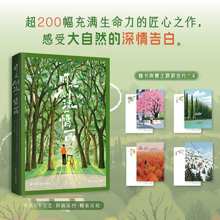 时光倒流一幅画 小红书微博人气插画师Paco Yao插画集 自然插画集 暖心治愈高颜值四季 新华文轩绘画美术艺术图集册 赠明信片