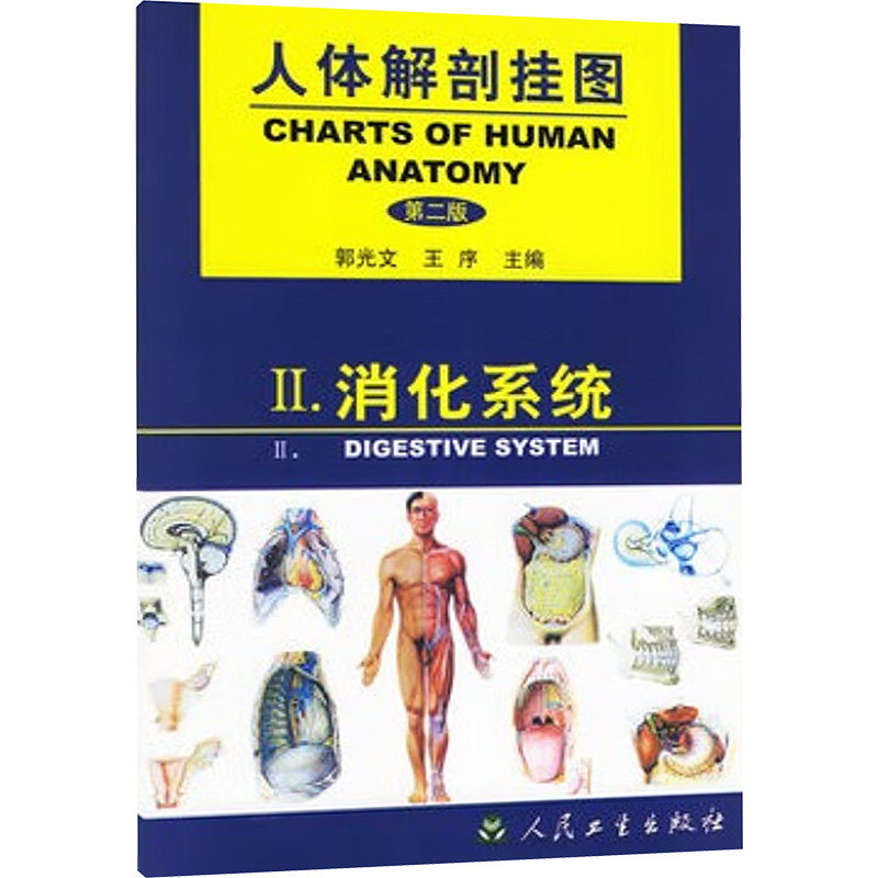 人体解剖挂图——消化系统(二) 正版书籍 新华书店旗舰店文轩官网 人民卫生出版社