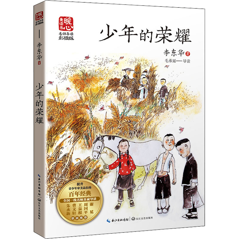 少年的荣耀暖心美读书名师导读