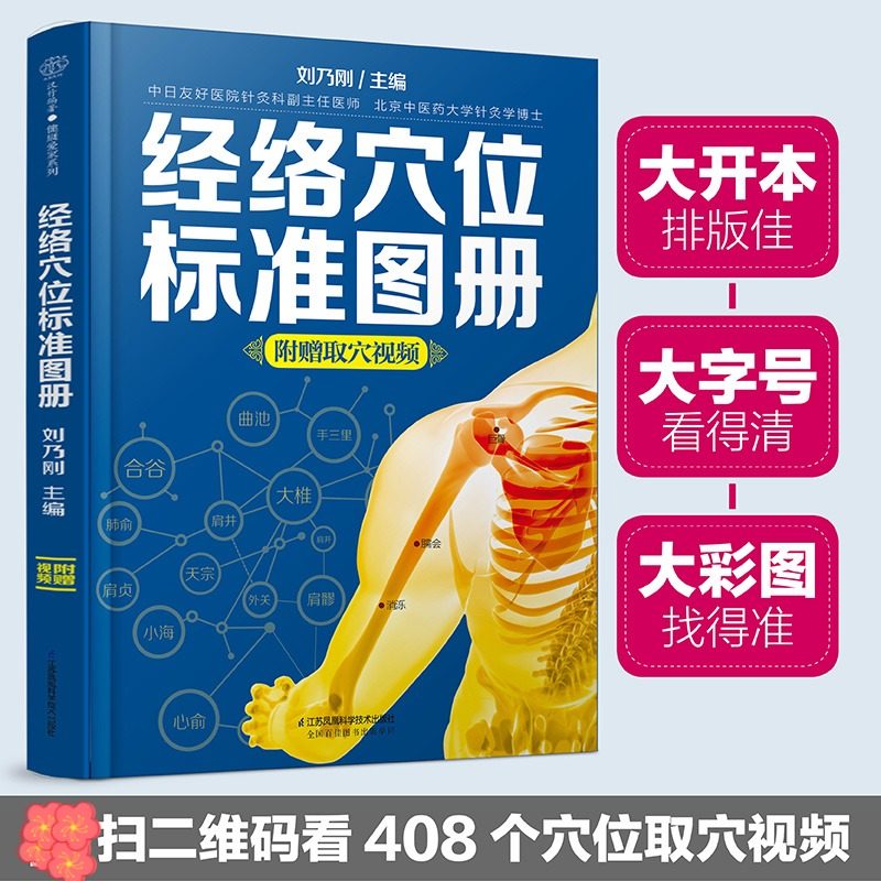 经络穴位标准图册 刘乃刚编 中医推拿按摩书养生书籍大全养生书籍 人体经络穴位图解书中医经络穴位书 江苏凤凰科学技术出版社正版