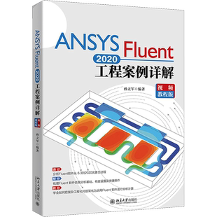 ANSYS Fluent 2020工程案例详解 视频教程版 正版书籍 新华书店旗舰店文轩官网 北京大学出版社