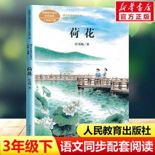 叶圣陶著 必小学生课外同步拓展推荐 书籍人民教育出版 荷花 三年级下册语文教材书课文作家作品系列 儿童文学正版 社 阅读书经典