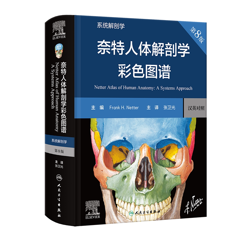 奈特人体解剖学彩色图谱第8版 汉英对照 神经系统肌肉骨骼生理学基础肌动学书籍临床基础教材法医解刨解剖图谱正版 人民卫生出版社