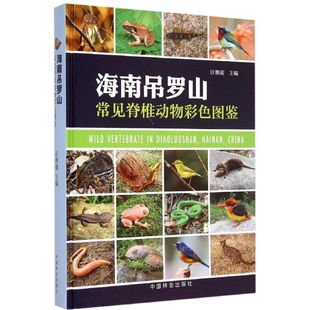 主编 正版 书籍 海南吊罗山常见脊椎动物彩色图鉴 中国林业出版 等 新华书店旗舰店文轩官网 社 汪继超