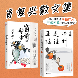 正版 公司 窗前 北京联合出版 新华书店旗舰店文轩官网 书籍小说畅销书 肖复兴 正是橙黄橘绿时 母亲 新华文轩