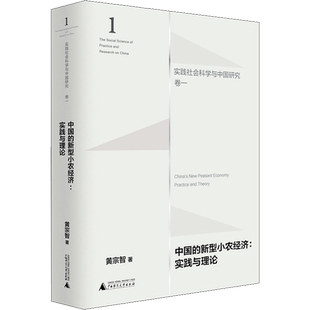 中国的新型小农经济:实践与理论 黄宗智 广西师范大学出版社 正版书籍 新华书店旗舰店文轩官网