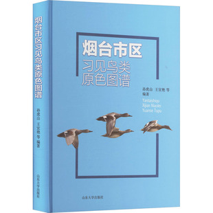 烟台市区习见鸟类原色图谱 正版书籍 新华书店旗舰店文轩官网 山东大学出版社