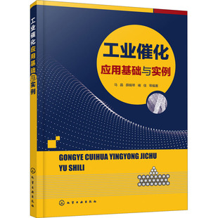 化学工业出版 工业催化应用基础与实例 新华书店旗舰店文轩官网 书籍 社 正版