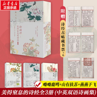 诗经全3册 燕燕于飞赏析解读字词注释难字注音中国古典文学诗歌正版 中英双语诗画集 山有扶苏 书籍 呦呦鹿鸣 许渊冲：美得窒息