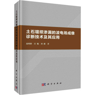 汪魁 刘潘 科学出版 波电场成像诊断技术及其应用 社 新华书店旗舰店文轩官网 赵明阶 书籍 土石堤坝渗漏 正版