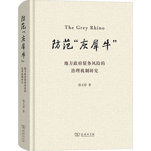 防范“灰犀牛”：地方政府债务风险的治理机制研究 郭玉清 商务印书馆 正版书籍 新华书店旗舰店文轩官网