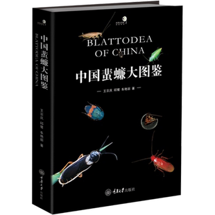 中国蜚蠊大图鉴 蜚蠊科昆虫分类与生态图谱 形态特征地理分布物种鉴定知识 病媒生物防治与科研参考工具书 正版书籍