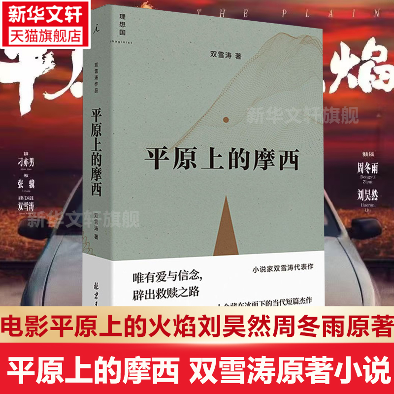 正版平原上的摩西双雪涛原著小说
