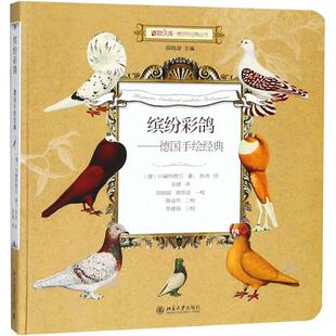 著;舍讷 新华文轩 Emil 绘;金建 书籍 德 正版 缤纷彩鸽 新华书店旗舰店文轩官网 沙赫特察贝 译 Schachtzabel