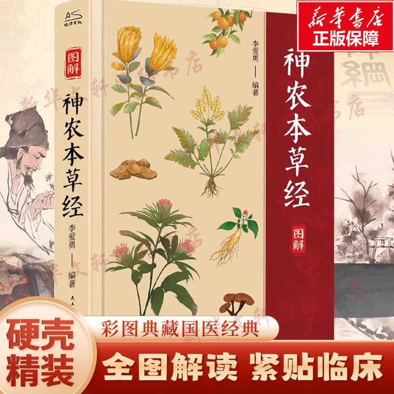 神农本草经精装全彩图解正版原版原著 彩图精装版全彩珍藏版 中医古籍药学典藏实用黄帝内经千金方养生全书 日常食疗中医养生书籍