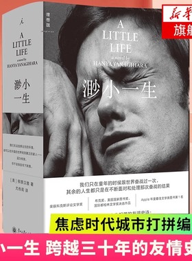 渺小一生 柳原汉雅著 跨越三十年的友情史诗 焦虑时代城市打拼编年史 入围布克奖美国国家图书奖国际都柏林文学奖 理想国 外国小说