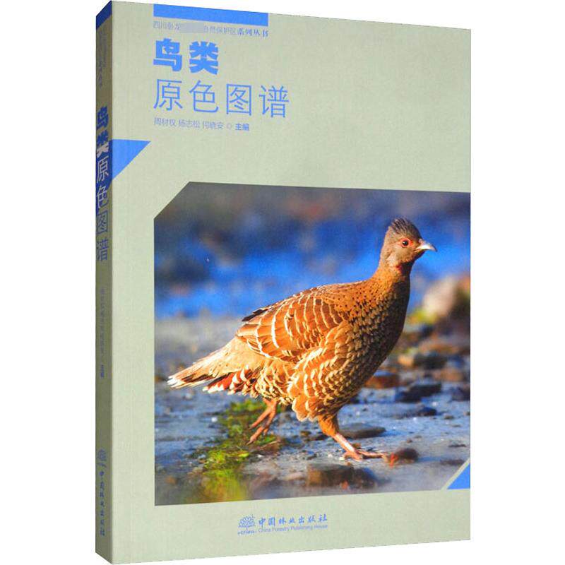 鸟类原色图谱 正版书籍 新华书店旗舰店文轩官网 中国林业出版社