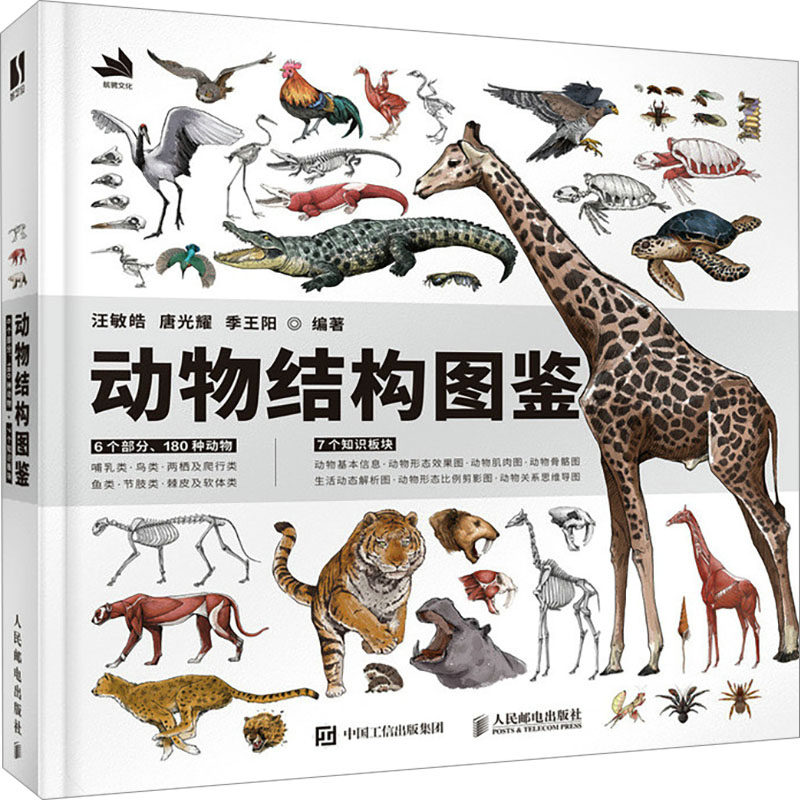 【新华文轩】动物结构图鉴 正版书籍 新华书店旗舰店文轩官网 人民邮电出版社,书籍/杂志/报纸,绘画（新）,淘宝优惠券,粉丝福利购,淘宝优惠卷
