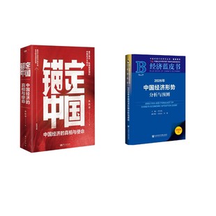锚定中国+2026中国经济蓝皮书 龙白滔 东方出版社等 正版书籍 新华书店旗舰店文轩官网