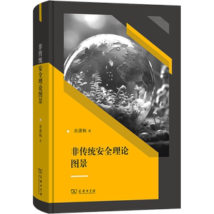 非传统安全理论图景