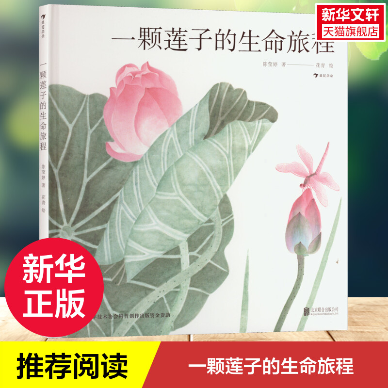一颗莲子的生命旅程 细品中国莲文化5-6-7-8岁儿童自然植物科普绘本 以国画绘出莲的生命轮回国风情怀一起感受生命之美