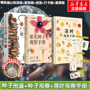 【全3册】世界上不可思议的果实种子图鉴+落叶+果实种子观察手册 视觉系果实种子图鉴 图文并茂 内容详实