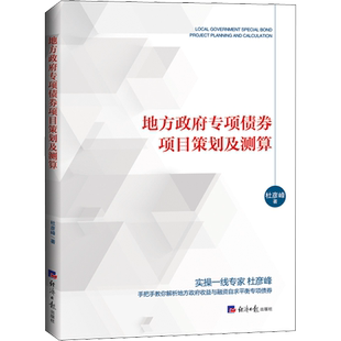 地方政府专项债券项目策划及测算 杜彦峰 经济日报出版社 正版书籍 新华书店旗舰店文轩官网
