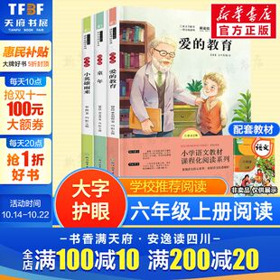 小英雄雨来快乐读书吧六年级上册人教版 六年级正版 配套阅读儿童文学课外阅读书籍 教育童年书 爱