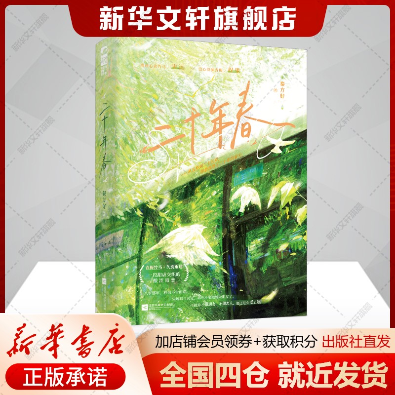 新华书店正版 青春小说 文轩网