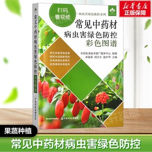 社 常见中药材病虫害绿色防控彩色图谱 中国农业出版 书籍 果蔬栽培种植业系列书蔬菜瓜果栽种参考工具书应用指南 正版