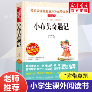 正版 小布头奇遇记 爱阅读名著课程化丛书青少年小学生儿童二三四五六年级上下册必课外阅读物故事书籍快乐读书吧老师推荐