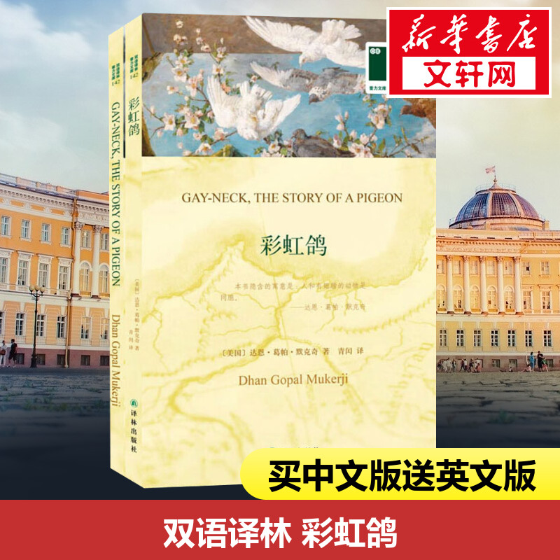 彩虹鸽(美)达思·葛帕·默克奇