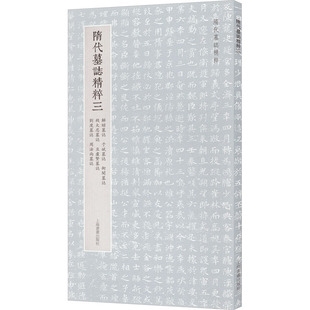 【新华文轩】隋代墓志精粹3 解昭墓志 于斌墓志 衙闻墓志 钱大忍墓志 豆卢贤墓志 刘度墓志 周法尚墓志