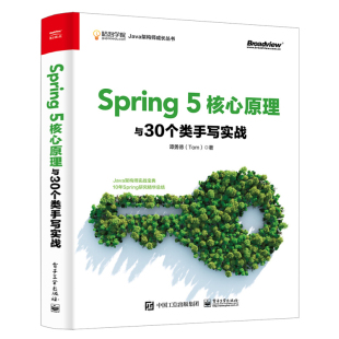 正版 Web开发 5核心原理与30个类手写实战 5编程实战宝典 Java Spring 5原理与新特性 Spring开发入门教程书籍