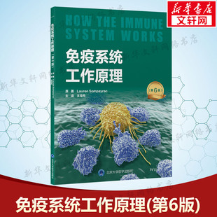 王月丹 新华文轩 劳伦·松佩拉克 译 社正版 第6版 北京大学医学出版 免疫系统工作原理 书籍 美 内科内科 著