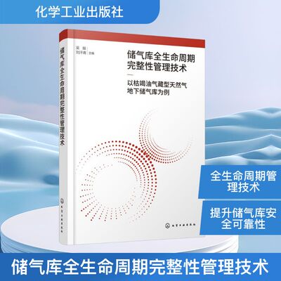 储气库全生命周期完整性管理技术——以枯竭油气藏型天然气地下储气库为例 正版书籍 新华书店旗舰店文轩官网