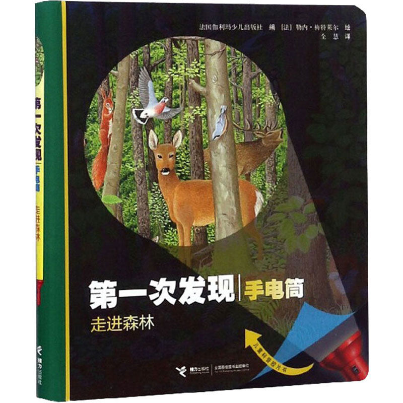 第一次发现丛书手电筒系列 走进森林 精装 法国儿童科普神奇透明胶片书 3至12岁儿童科普百科绘本书籍幼儿启蒙绘本书籍 正版推荐