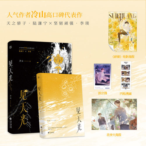 新华书店正版 青春小说 文轩网