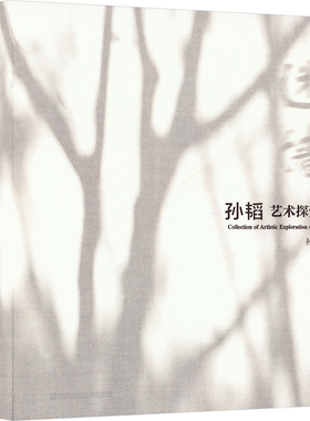 【新华文轩】迷墙 孙韬艺术探索集 孙韬 正版书籍 新华书店旗舰店文轩官网 江苏美术出版社