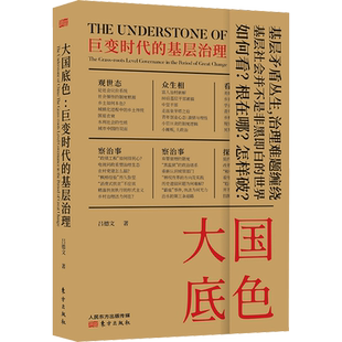 【新华文轩】大国底色 巨变时代的基层治理 吕德文著 15年田野调研 57篇理性评论 动态现象分析 描述巨变时代真实的中国  社会科学