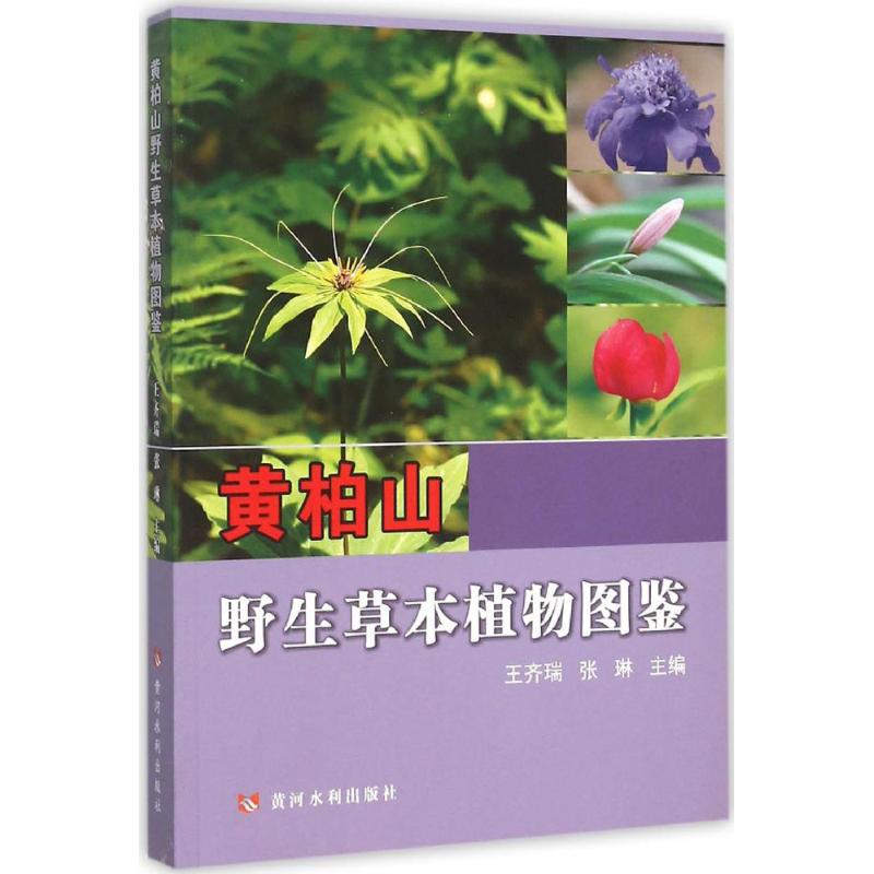 黄柏山野生草本植物图鉴 王齐瑞,张琳 主编 正版书籍 新华书店旗舰店文轩官网 黄河水利出版社