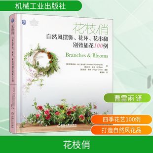 Jill 花串和别致插花100例 Alethea Harampolis 阿莱西娅·哈兰波利斯 花环 美 Rizzo 花枝俏 吉尔·里佐 自然风摆饰