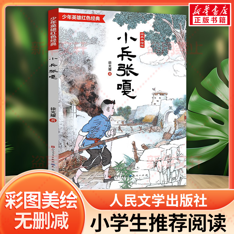 小兵张嘎经典美绘版少年英雄