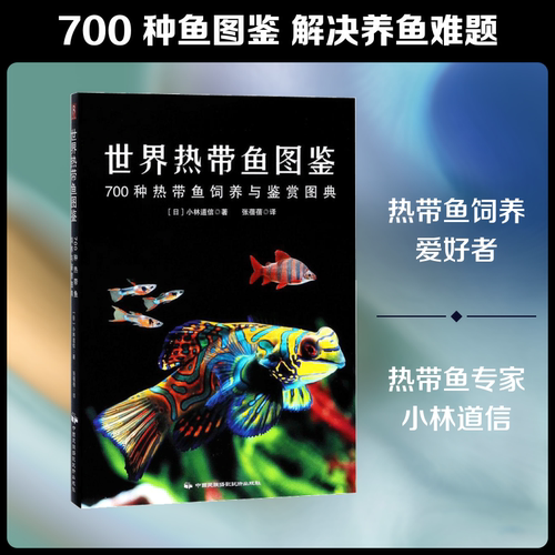 新华书店正版 生活休闲 文轩网